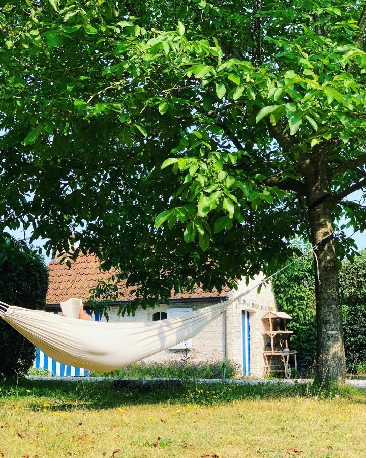 Hamiora Wellness B&B Deinze Exterior foto