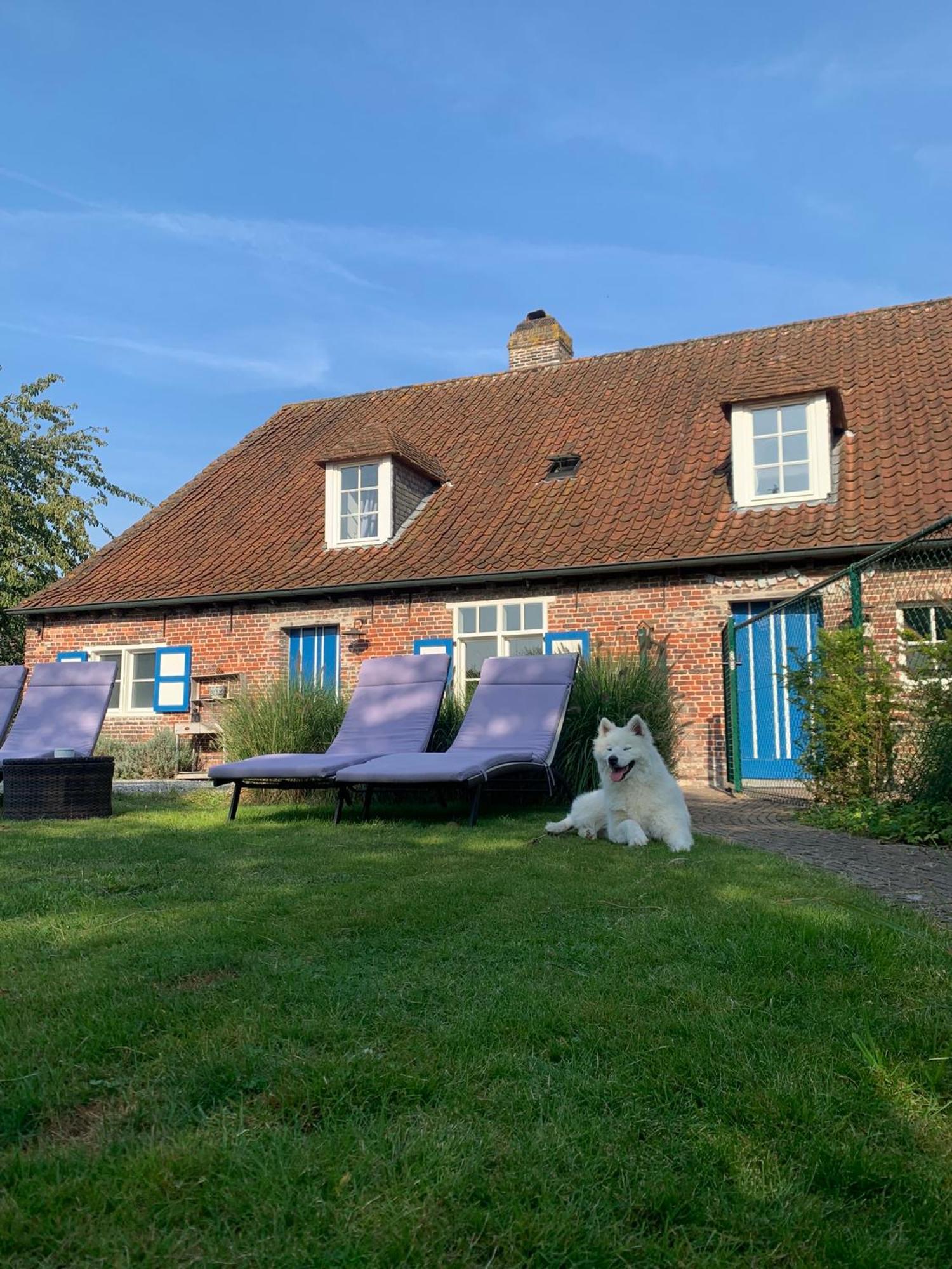 Hamiora Wellness B&B Deinze Exterior foto