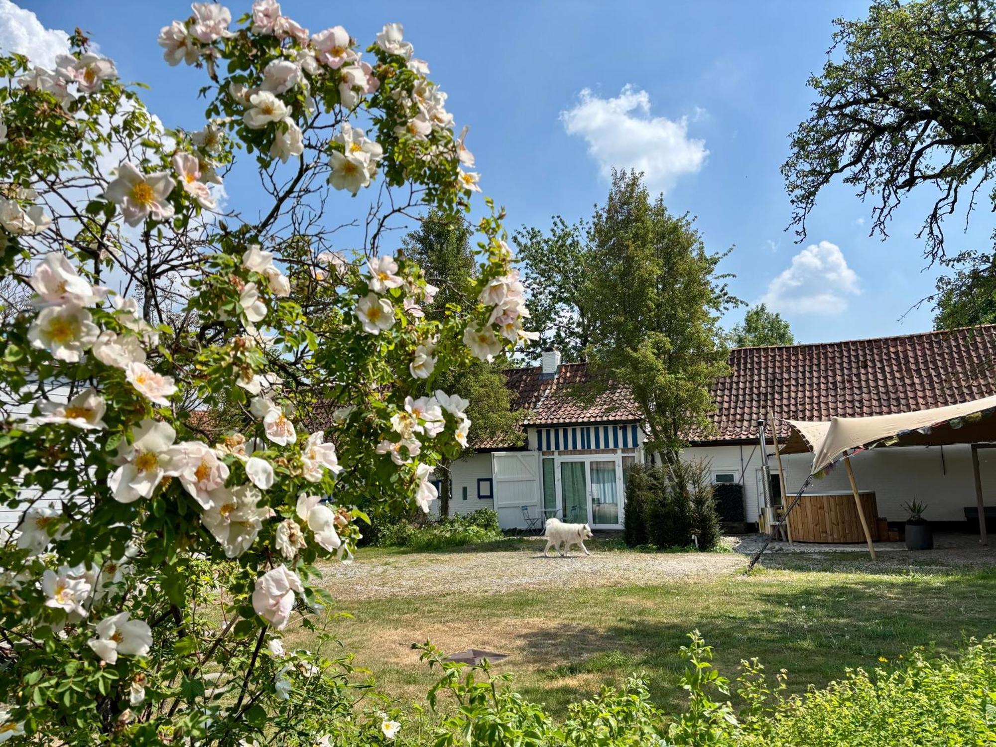 Hamiora Wellness B&B Deinze Exterior foto